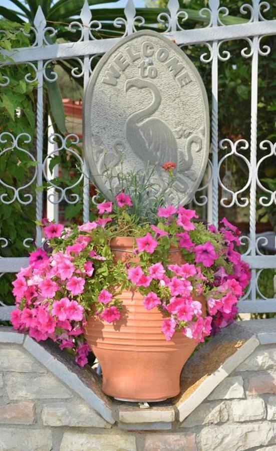 Flamingo Corfu Апарт-отель