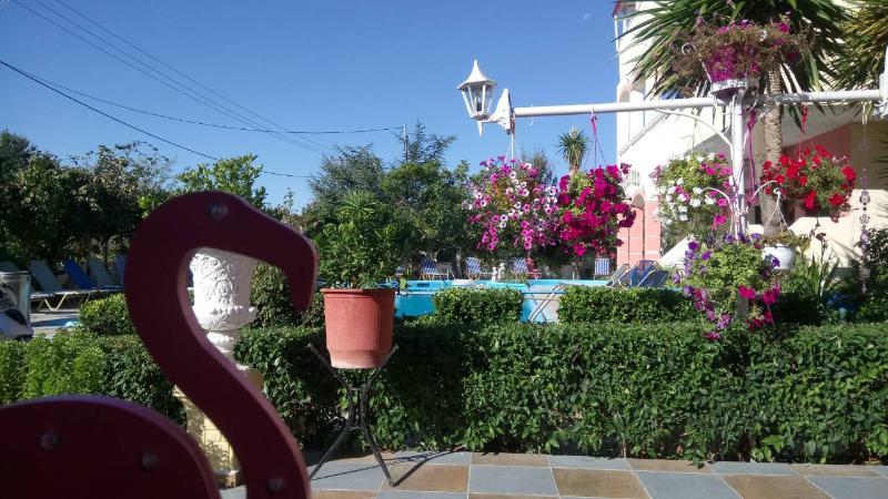 Flamingo Corfu