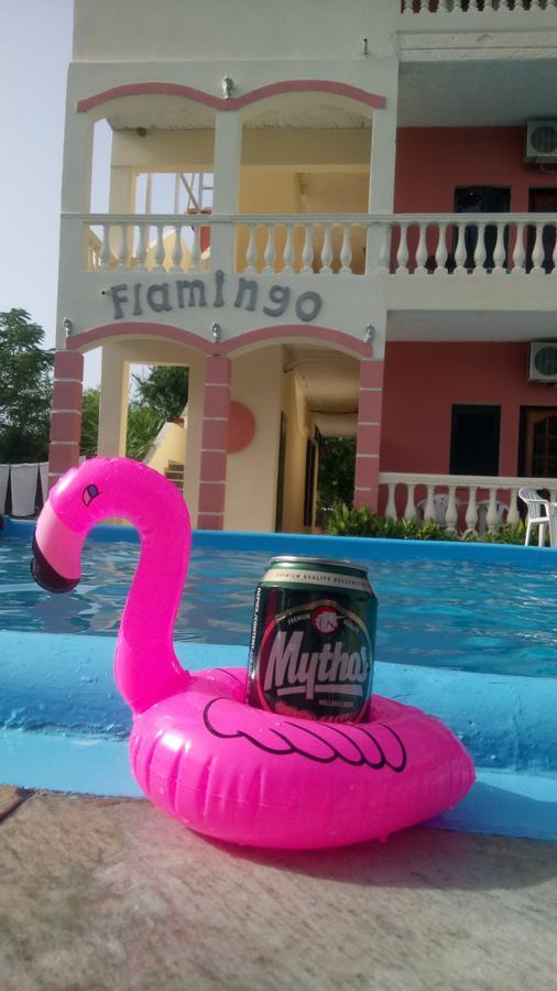 Flamingo Corfu Moraitika