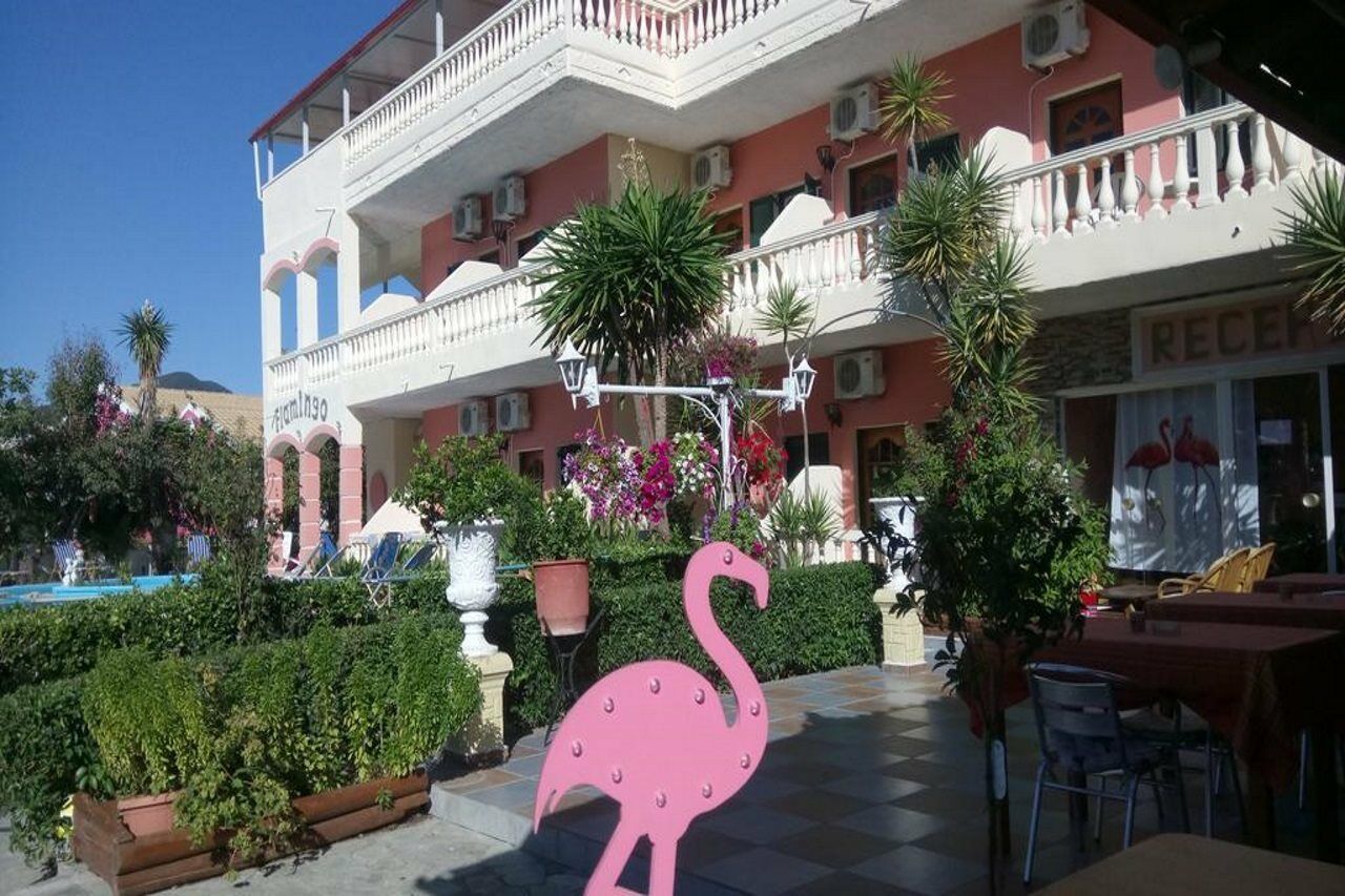 Flamingo Corfu